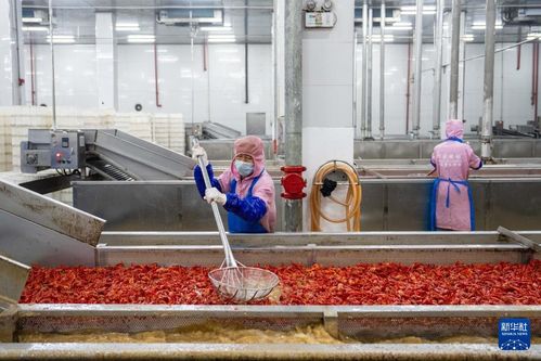 组图丨南县 小龙虾带动大产业